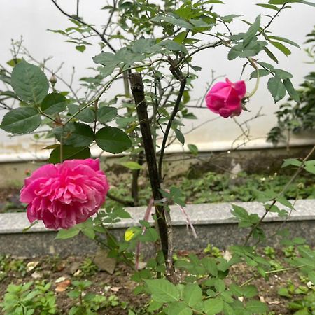 Nhat Long Homestay Hue Zewnętrze zdjęcie