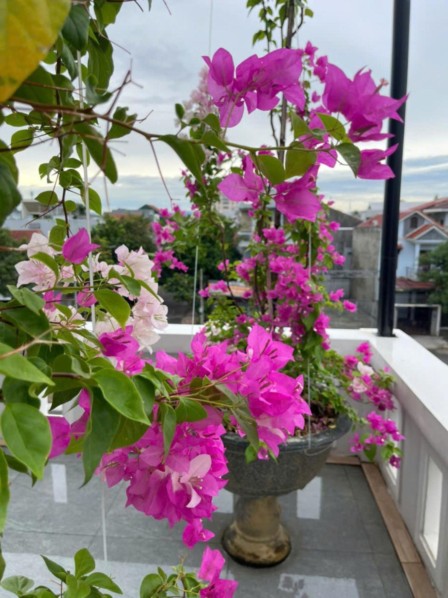 Nhat Long Homestay Hue Zewnętrze zdjęcie